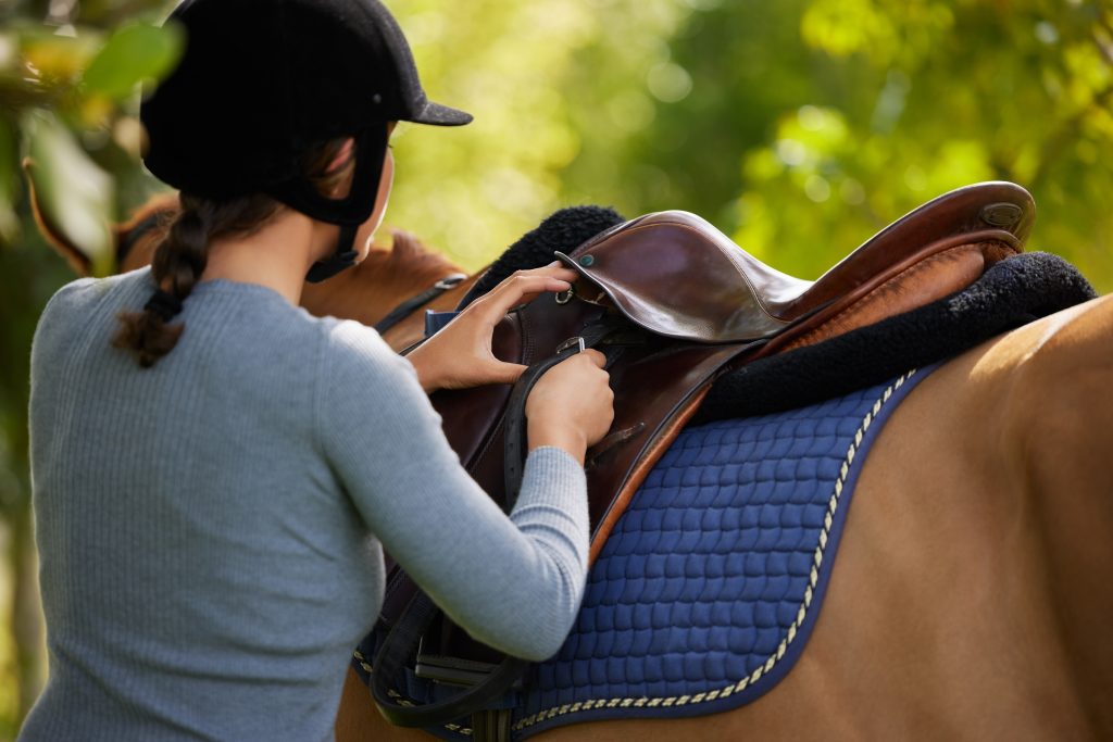 Horseback riding through the vineyards of Valpantena near Verona